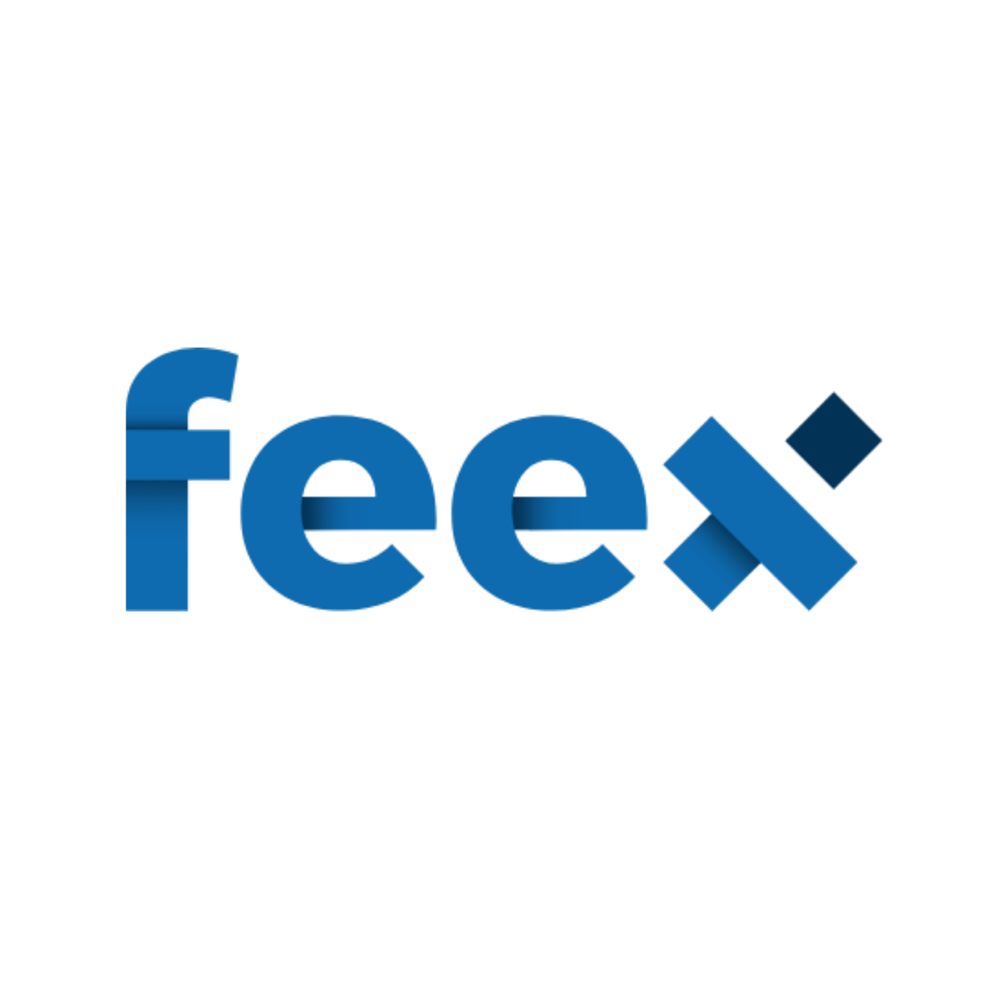 FEEX
